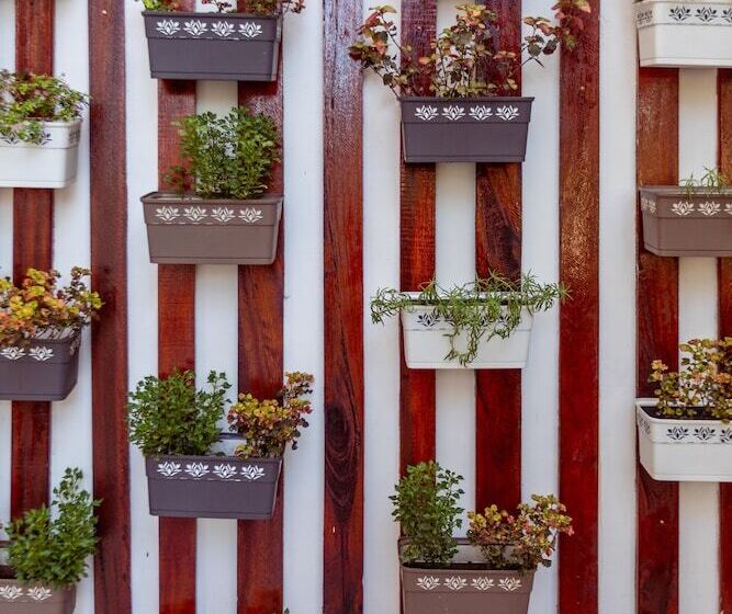 Canary Nungwi Hotel & Spa