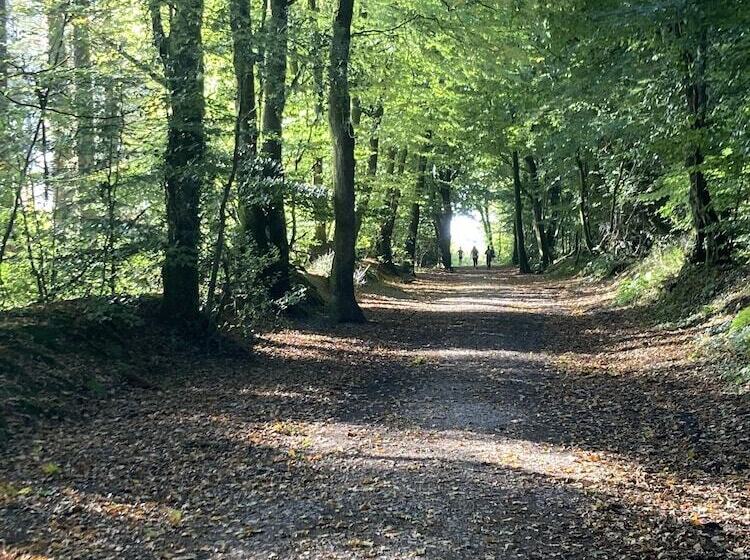 Charming Gnome Cottage, In Devon Near Sidmouth