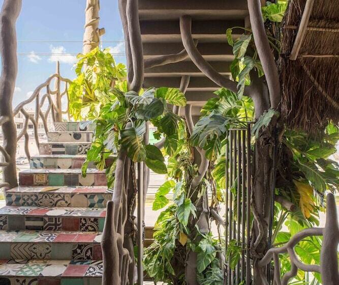 هتل Sonno Cielito