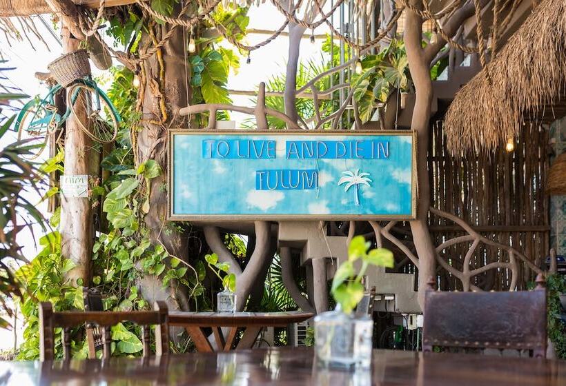 هتل Sonno Cielito