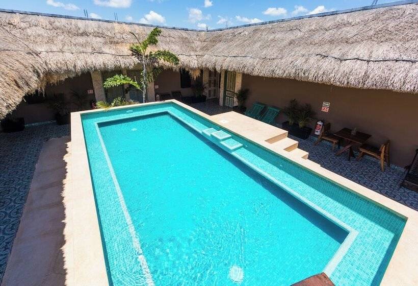 هتل Sonno Cielito