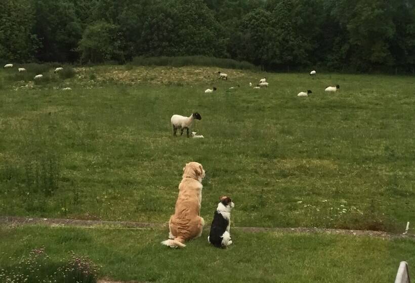 Courtyard Cottage   Adults Only