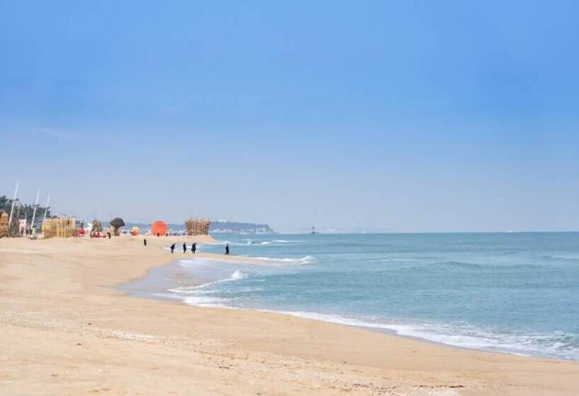 Gangneung Nine One Dog Pension