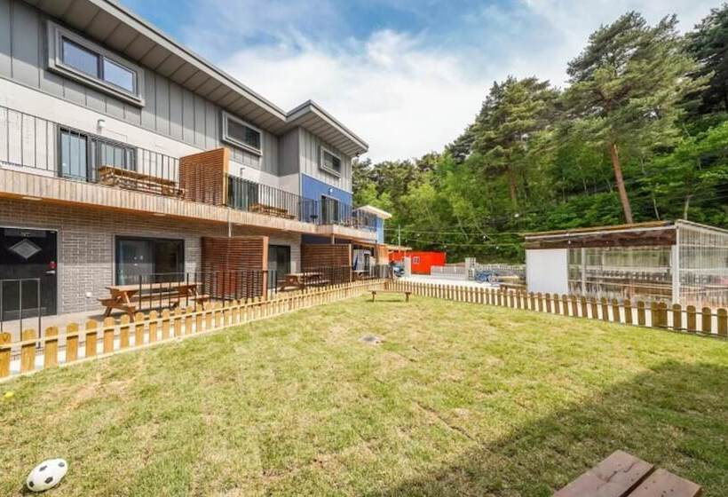 Gangneung Nine One Dog Pension
