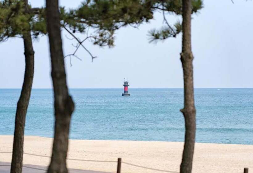 Gangneung Nine One Dog Pension