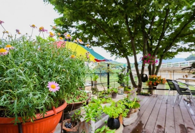 Goesan Morning Of Valley Pension