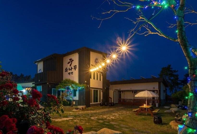 Gyeongju Gampo Sonamu Pension