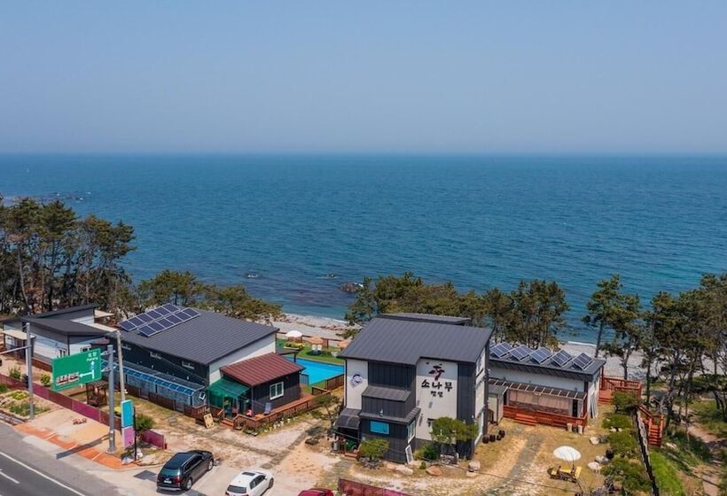 Gyeongju Gampo Sonamu Pension