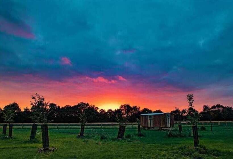 Honeysuckle Farm Hut 1   Suffolk Farm Holidays