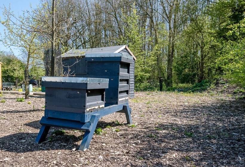Honeysuckle Farm Hut 1   Suffolk Farm Holidays