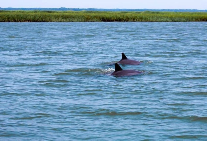 ホテル 531 Sunsuite