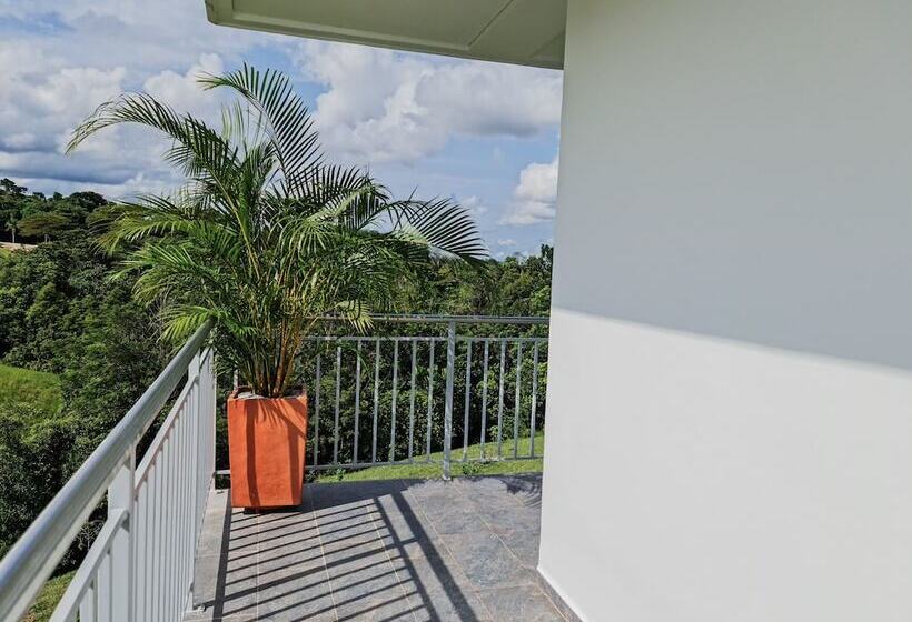 Отель Arboreo Doradal