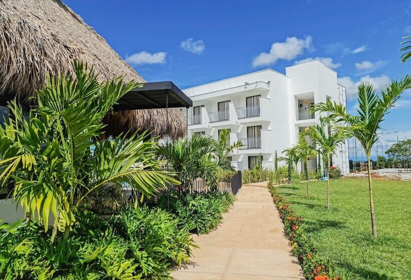 Отель Arboreo Doradal