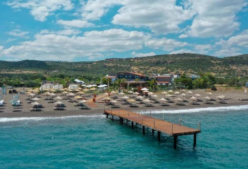 בית מלון כפרי Assos Troy Beach