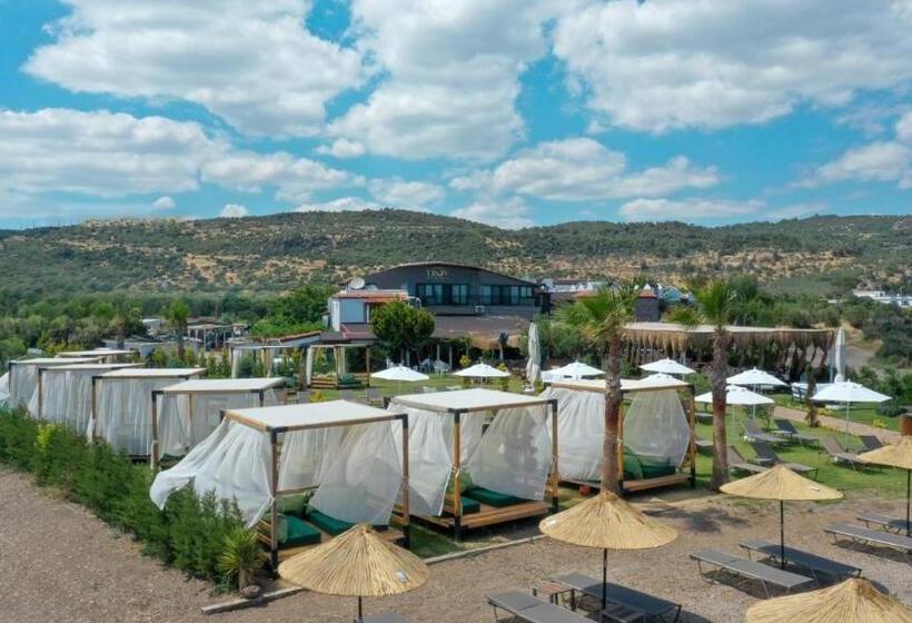 בית מלון כפרי Assos Troy Beach