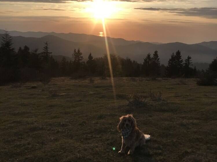 ホテル Badara Kafe & Pansiyon