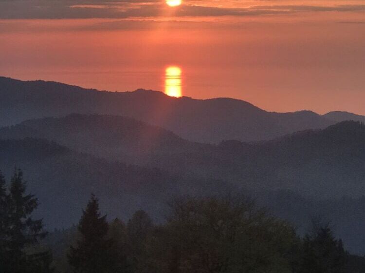 ホテル Badara Kafe & Pansiyon