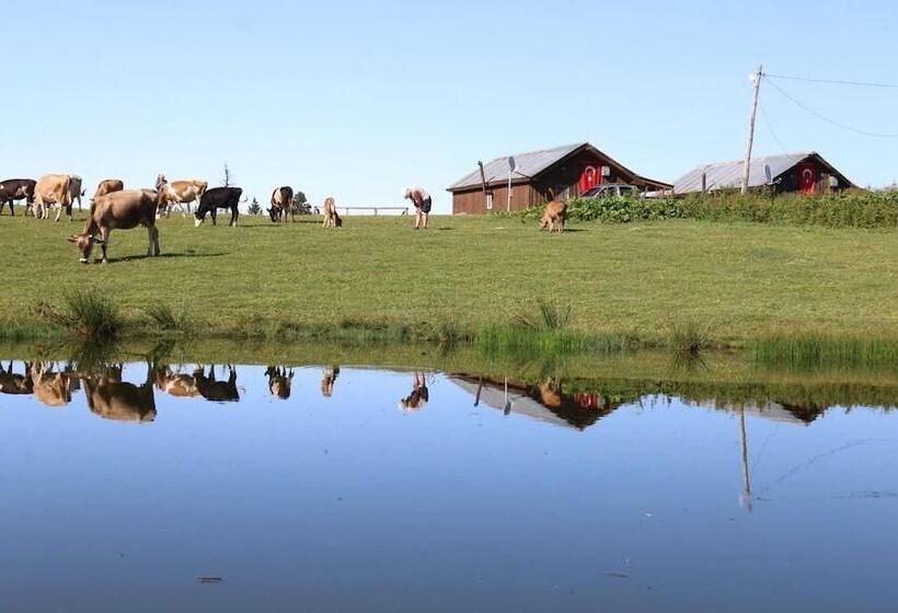 ホテル Badara Kafe & Pansiyon