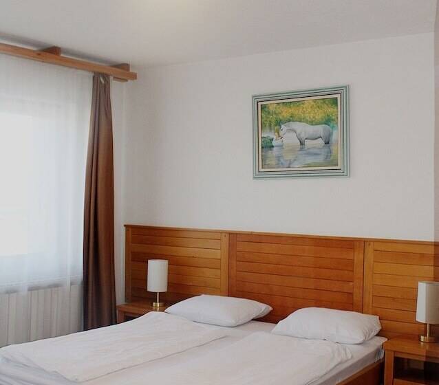 هتل Borovi Sjenica