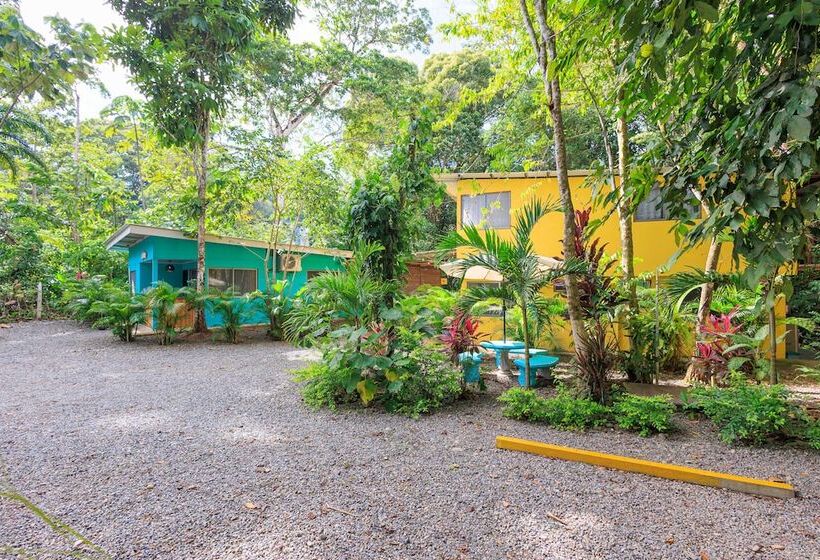 호텔 Boutique D Angelo