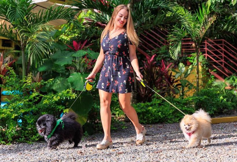 فندق Boutique D Angelo