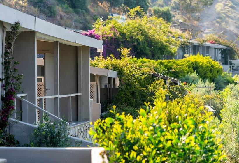 בית מלון כפרי Casa Daracia