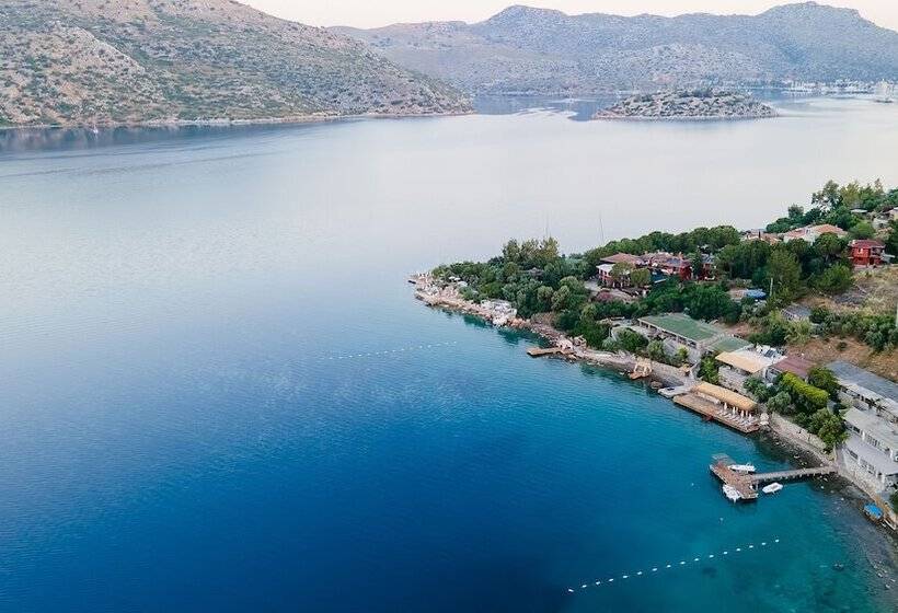 בית מלון כפרי Casa Daracia