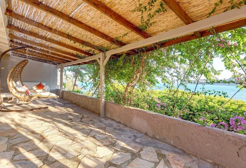 בית מלון כפרי Casa Daracia