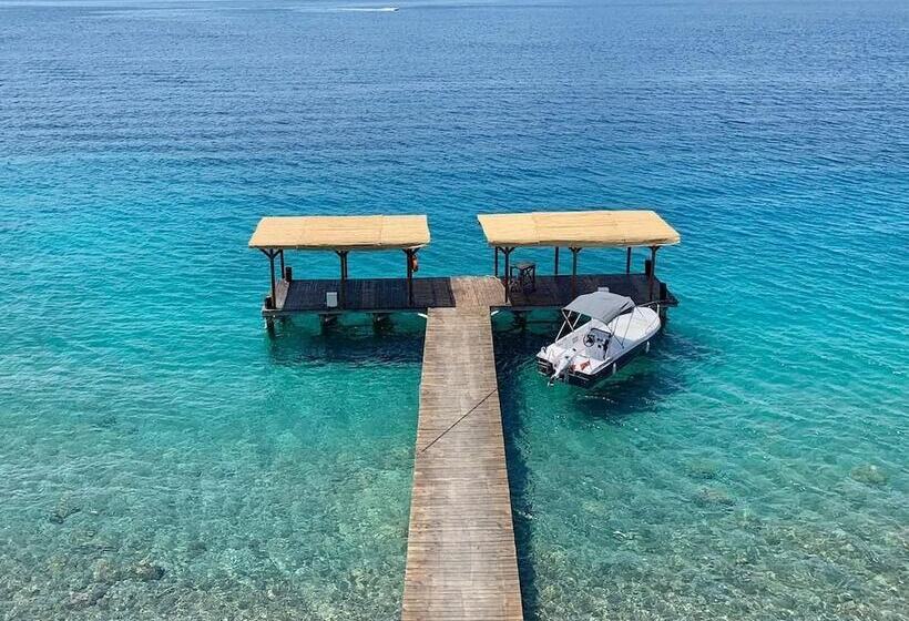 בית מלון כפרי Casa Daracia