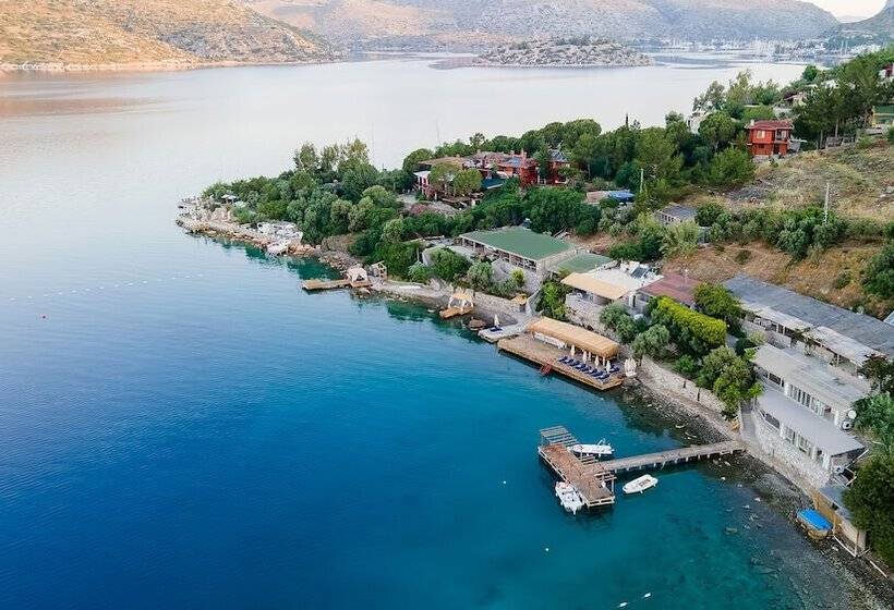 בית מלון כפרי Casa Daracia