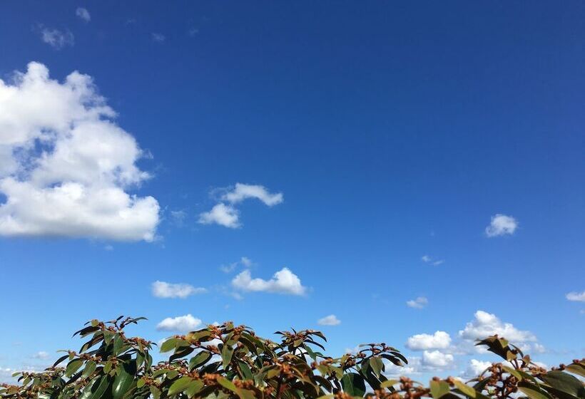 فندق Casa Maya Calakmul