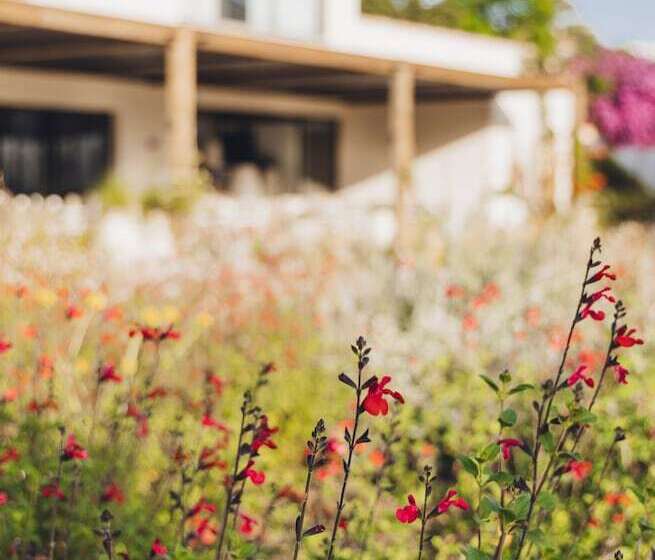 호텔 Casa Paradisu