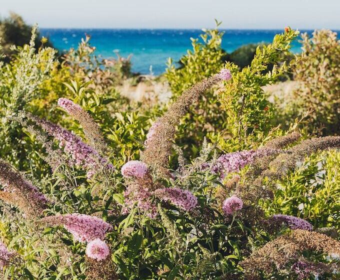 호텔 Casa Paradisu