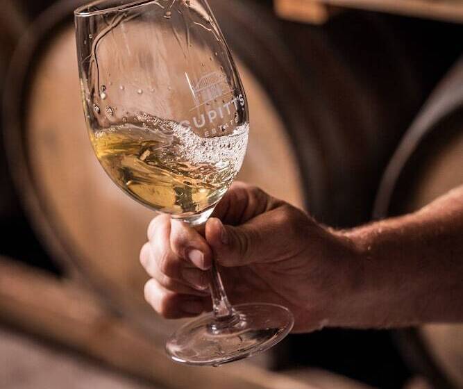 בית מלון כפרי Cupitt S Estate