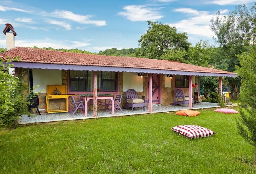 בית מלון כפרי Dachas Cove