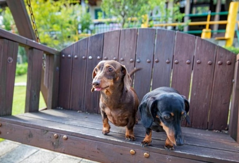 Отель Gangneung Happymong Pension