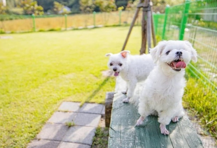 Отель Gangneung Happymong Pension