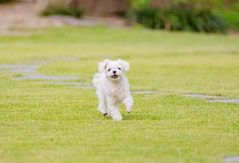 Отель Gangneung Happymong Pension