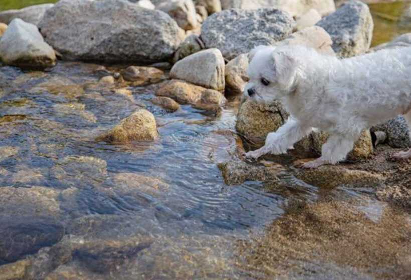 Отель Gangneung Happymong Pension