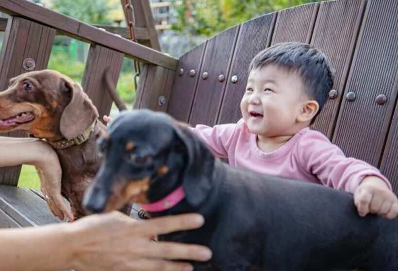 Отель Gangneung Happymong Pension