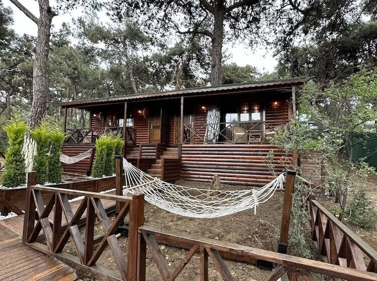 酒店 Glamping Büyükada
