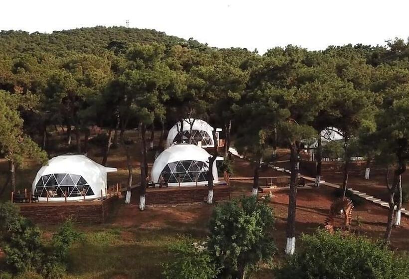 酒店 Glamping Büyükada