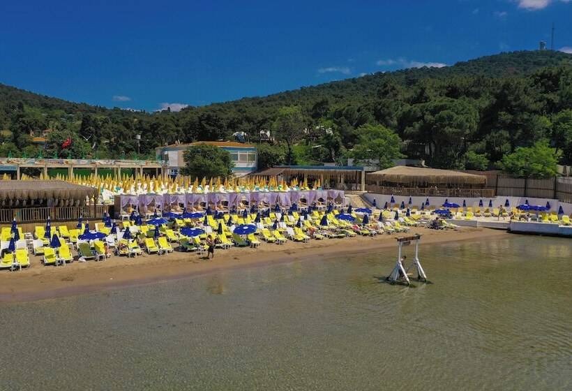 酒店 Glamping Büyükada