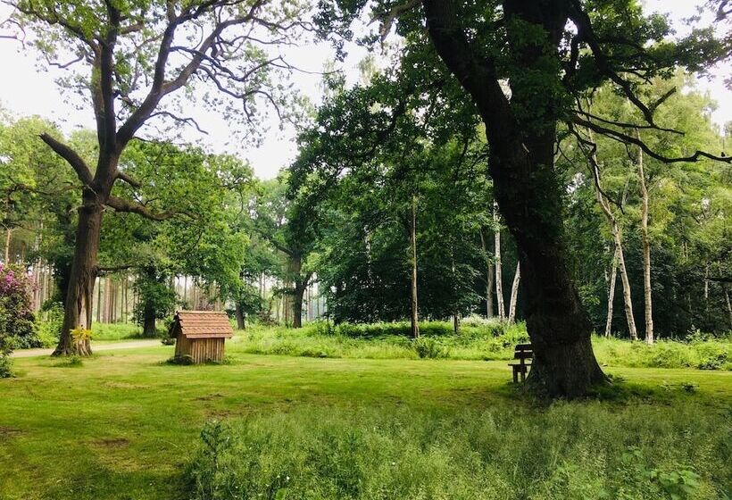 فندق Hollicarrs   Kingfisher Lodge
