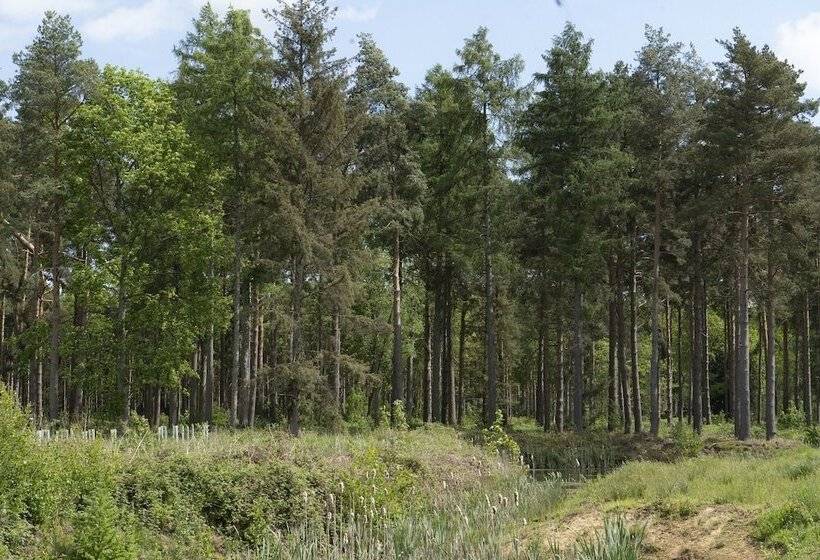 فندق Hollicarrs   Kingfisher Lodge