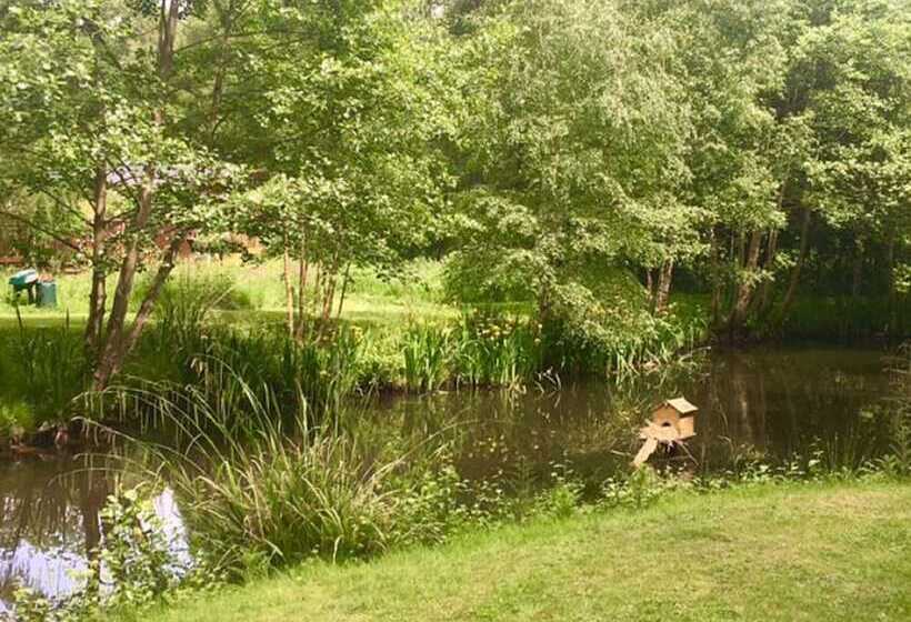 فندق Hollicarrs   Kingfisher Lodge