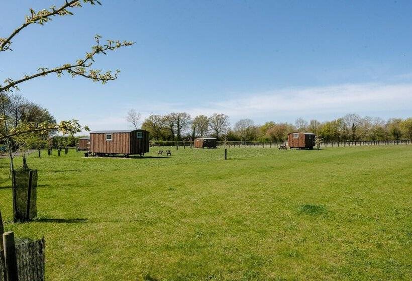 בית מלון כפרי Honeysuckle Farm Hut 3   Suffolk Farm Holidays