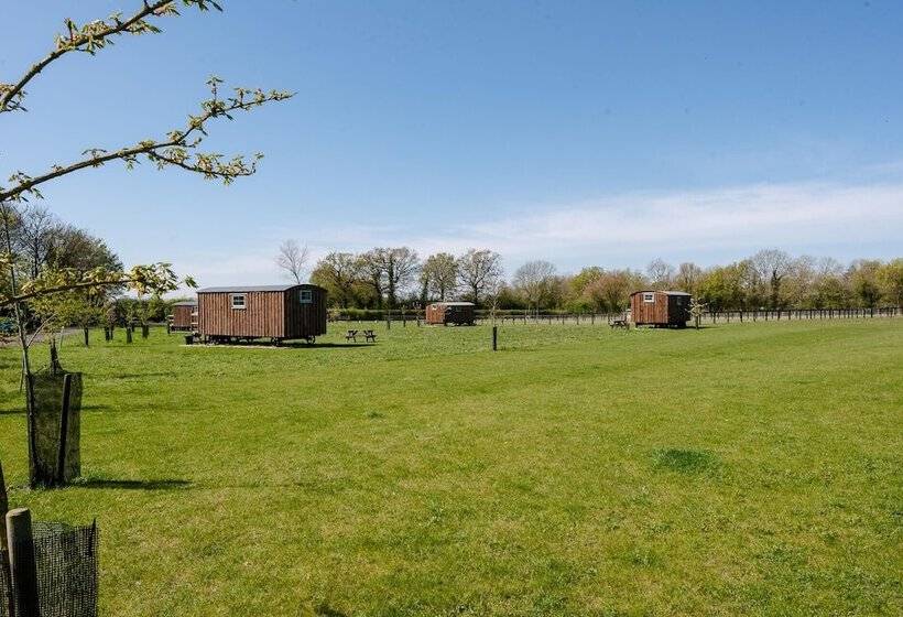 בית מלון כפרי Honeysuckle Farm Hut 5   Suffolk Farm Holidays