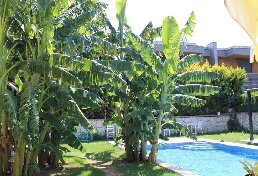 فندق Odabasi Su Alacati