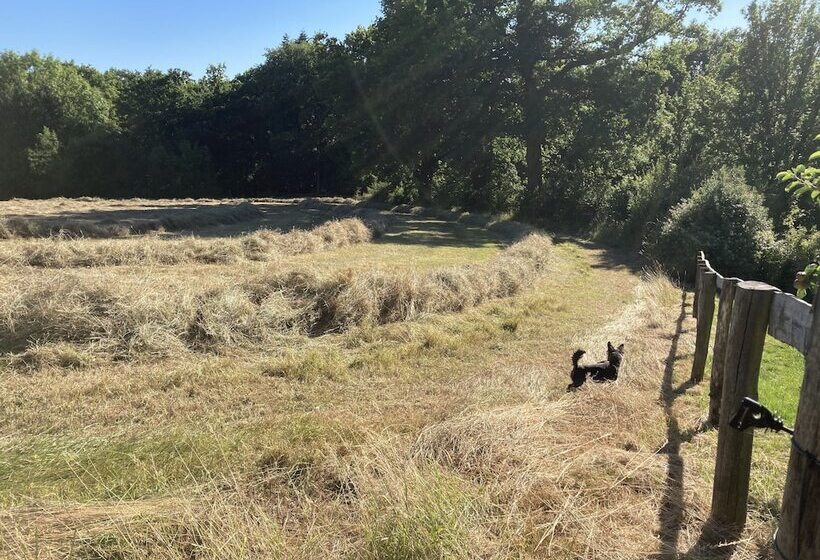 Отель Original Roadsmans Wagon, With Breathtaking Views